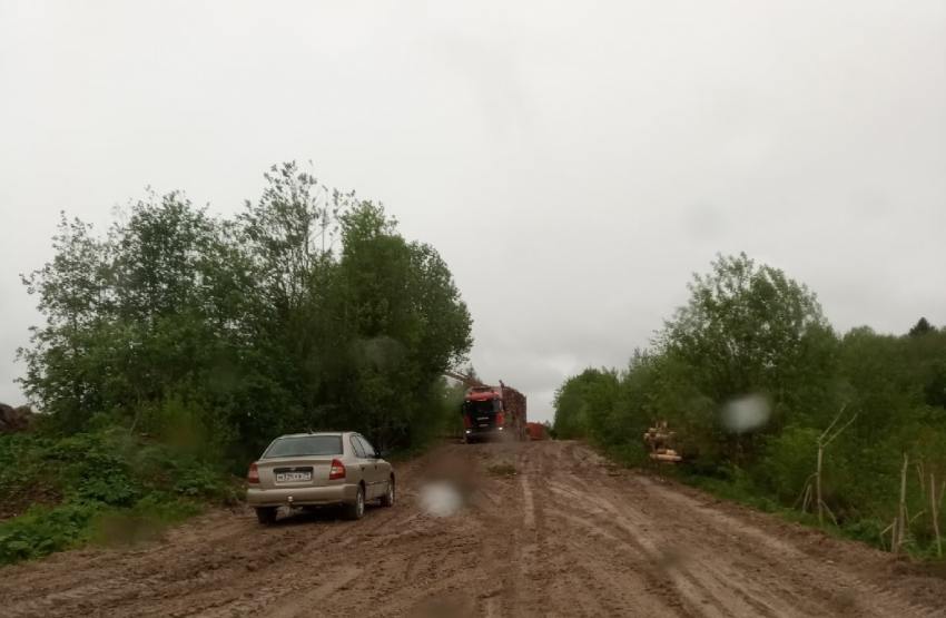 Жители Каргопольского района возмущены состоянием дороги «Каргополь-Ошевенск»